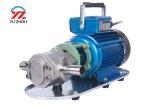WCB stainless steel 220V single phrase portable gear oil transfer pump