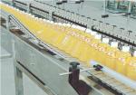 Stainless Steel Sterilizing Bottle Conveyor Systems Pet Juice Bottle Neck