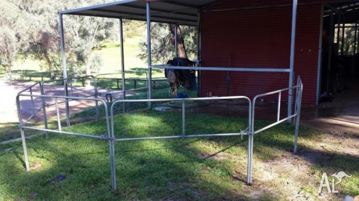 Mobile Rot Proof 1.35m Tall Livestock Handling Equipment For horse float