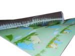 Supplying EPE Foam Sheet Laminating/Coating machine