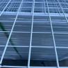 Buy cheap Customizable 1X2 Black PVC Welded Wire Mesh Panels For Birds Cage from wholesalers
