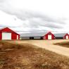 Buy cheap Modern Steel Chicken Farm Building , Light Steel Structure Poultry House from wholesalers