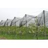 Buy cheap Hdpe Knitted Anti Bird Netting , Black Vegetable Garden Netting For Plants from wholesalers