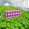 Buy cheap Factory supply 2018 wholesale grow equipment 2ft 4ft 5ft t8 g13 full spectrum led grow lig from wholesalers