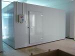 Fish Cold Room Freezer Room walk in chiller rooms