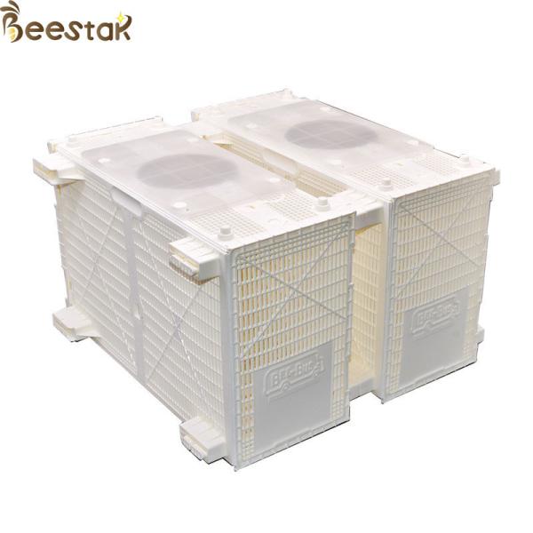 Buy cheap Beehive Equipment Plastic Bee Bus Package Bee Installation Bee Cage from wholesalers