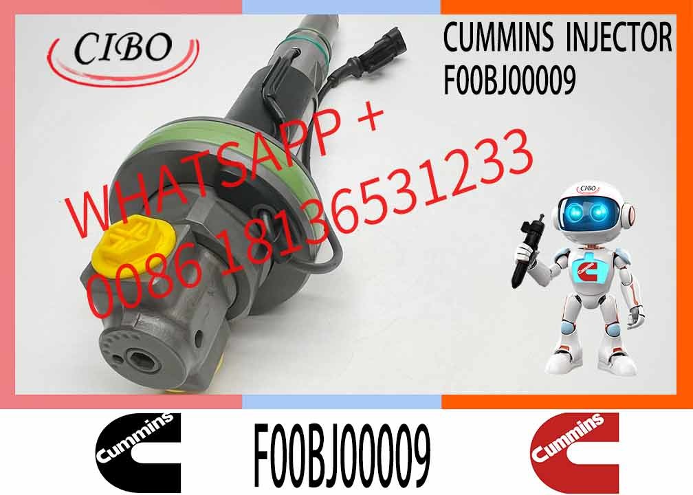 Engineering Machinery QSK19 Truck Engine System Accessories F00BJ00009 Diesel Fuel Injector