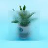 Buy cheap 3mm 6mm Frosted Polycarbonate Sheet 3000mm 4000mm from wholesalers