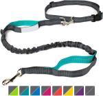 Tangle Free Bungee Dog Leash 100% Nylon Eco Friendly