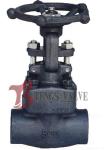 Metellic Seat Forged Steel Valves , Forged Carbon Steel Gate Valve