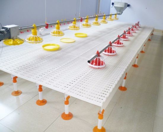 Chicken Equipment Plastic Mesh Floor Poultry Slat Flooring