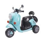 Children's Electric Motorcycle Ride on Battery Car for Kids 40HQ 507PCS Gender