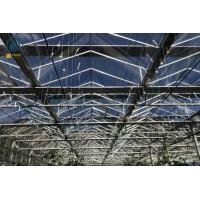 Buy cheap Agriculture Vegetable Flower Glass Greenhouse Farm Commercial Greenhouse product