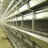 Buy cheap Large Breeding Poultry Exhibition Cages , 120 * 60 * 59CM Chicken Isolation Cage from wholesalers