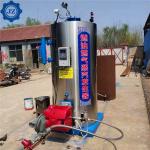 100kg 200kg 300kg 500kg Steam Mini Steam Generator Small Steam Boiler For