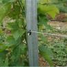 Buy cheap 2.5mm Thickness Metal Galvanised Steel Vineyard Posts For Grape Growing from wholesalers