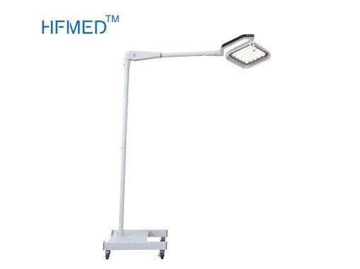 Examination Portable Surgical Lights Wall Mounted For Dental / Veterinarian Clinic