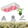Buy cheap Commercial Vegetable Led Grow Lights Used In Cannabis Chamber 50/60Hz from wholesalers