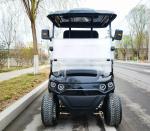 Customized Electric Golf Cart 2 Seater Battery Powered Good Design Lightweight