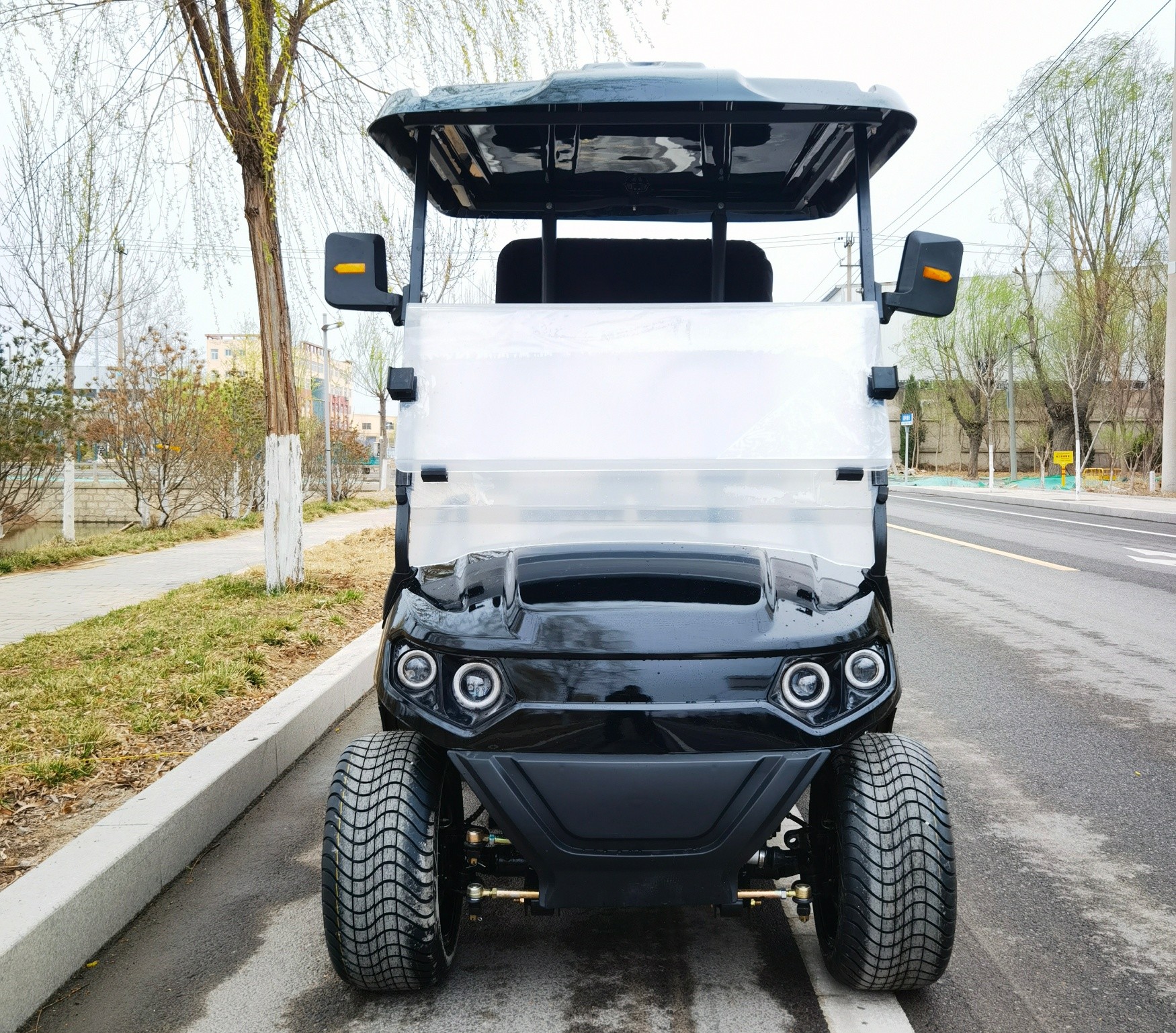 Customized Electric Golf Cart 2 Seater Battery Powered Good Design Lightweight