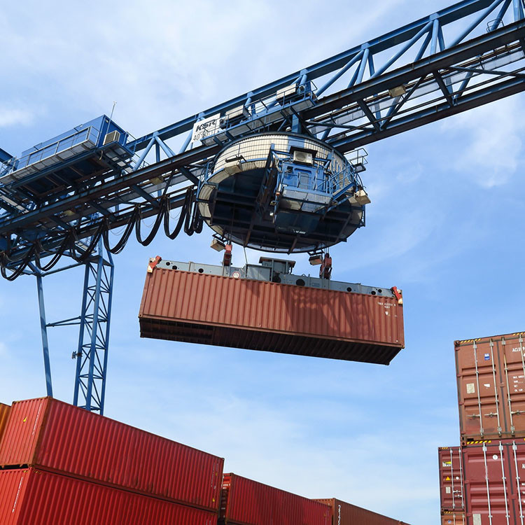 FCL LCL Professional Container International Sea Freight From China For Oversized Cargo