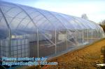 Agricultural PE Film, Agriculture Polyethylene, Film, mulch films, horticultural