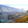 Buy cheap Agricultural PE Film, Agriculture Polyethylene, Film, mulch films, horticultural polyethylene film from wholesalers