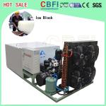 1 ton to 5 ton Direct Cooling Ice Block Machine Africa Market Popular Hot Sale