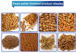 Automatic Twin Screw Extruder Machine For Production Of Finished Pet Food