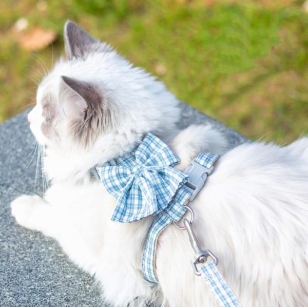 Buy cheap The Best Soft Breathable H-Type Walking Kitten Cat Lead For Garden from wholesalers