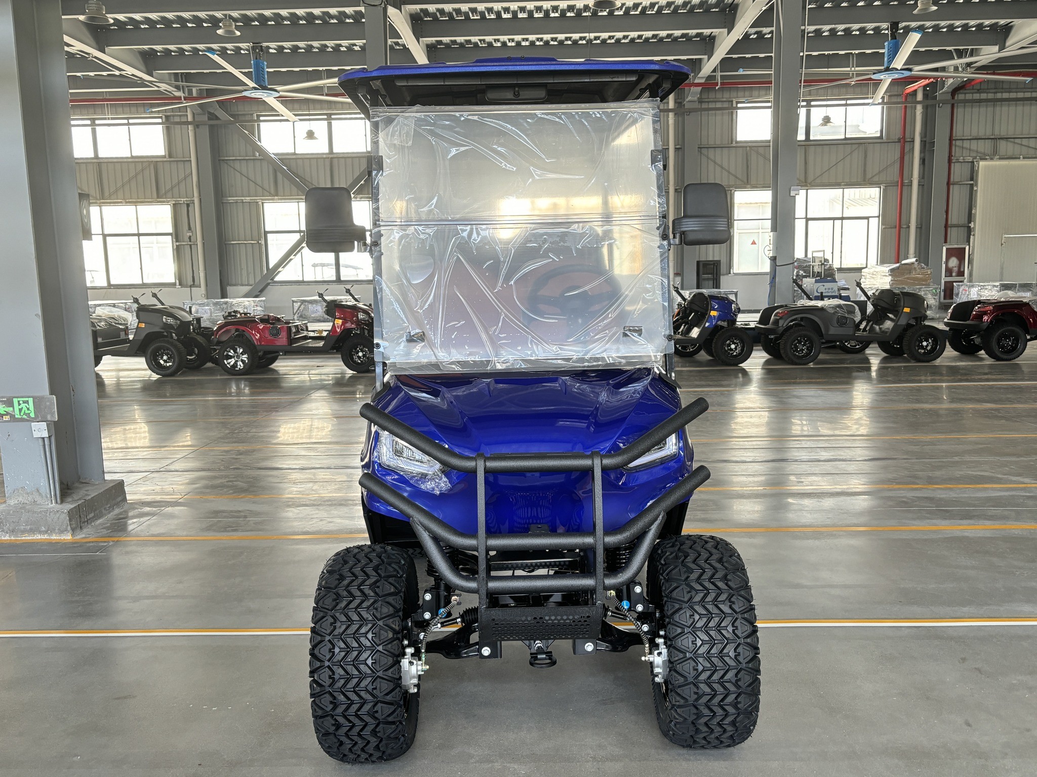 Electric Golf Cart 2+2 Passenger Lead Batteries Powered Four Wheeler Hunting Cars