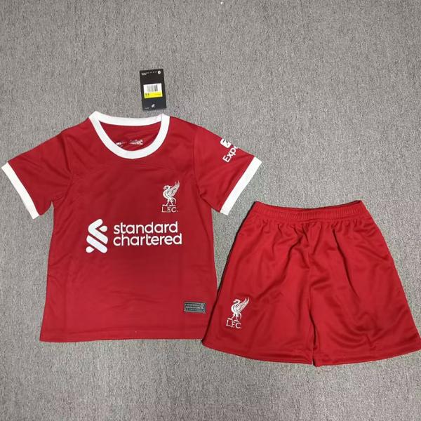 Buy cheap Premium Fabric Kids Soccer Jerseys For Kids Soccer Uniform Custom from wholesalers