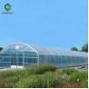 Buy cheap Agricultural Tunnel PE Film Greenhouse With Drip Irrigation System from wholesalers