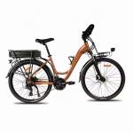 Lithium Battery 700C Electric City Bike 24 Speed 250W Low Step Through Electric
