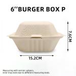 Sugar Cane Bamboo Pulp Hamburger Box Camping Parties Lunches Food Packaging