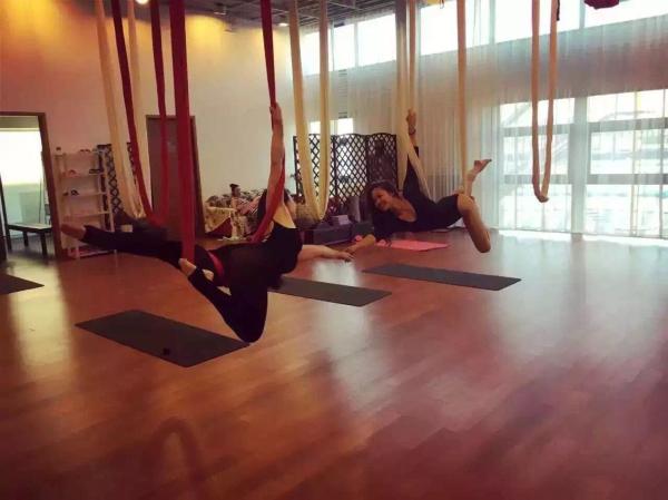 Virson- High quality yoga swing Great Tool for Stretching! Antigravity for