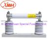 Buy cheap Rating Breaking Capacity 50ka 12kv-36kvac High Voltage Fuse Xrnt-Type from wholesalers