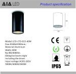 IP65 waterproof round DALI dimmable 40W COB LED downlight&outdoor LED down light