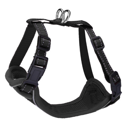cat harness for kittens