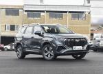 New Version Personal Adult Geely Car SUV Gasoline Petrol Oil Fuel 2 WD Car