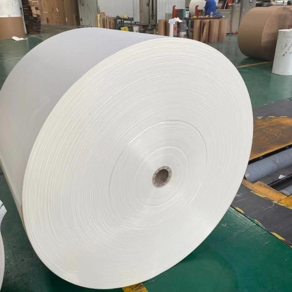 Buy cheap Dia 1200mm Cup Stock Paper Raw Material Required For Paper Cup Manufacturing from wholesalers