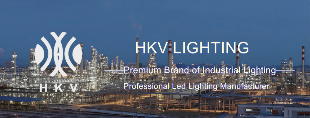 2600 Lumen IP65 High Power LED Street Light COB High Bright Beads Highway