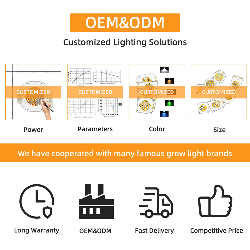Bi Color 300W 6060 High Power COB Led Chip High Out Put For Movie Lighting