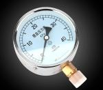 YE/YEF Series SS316 Pressure Gauge Capsule Type 2kg For Harsh Environments -2 Kg