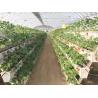 Buy cheap Condition PVC-U Water Pipe for Strawberry Gutter Farming in Hydroponic System from wholesalers
