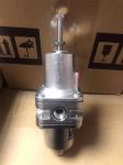 B38P Series Stainless Steel Filter / Regulator 0.4 - 10 Bar