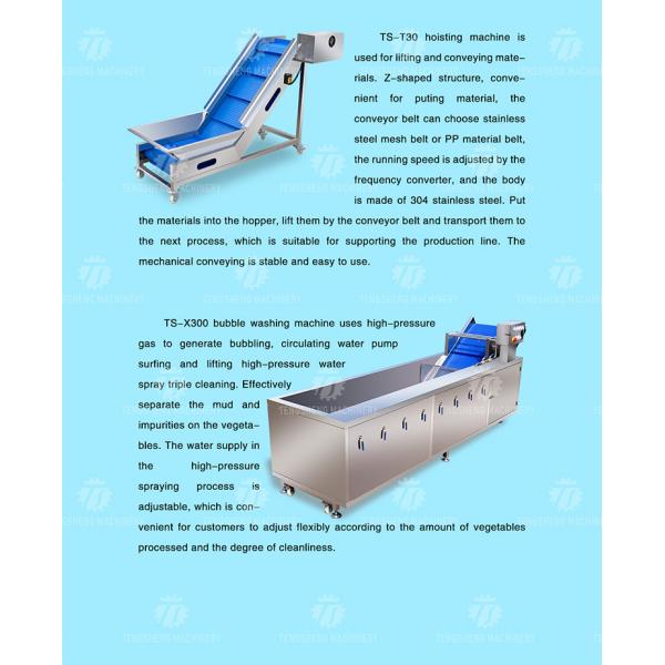 Automatic Vegetable And Fruit Production Line Selection Cutting And Washing Machine