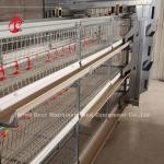 4 Tiers High Hardness Layer Chicken Battery Cages Metal Wire With Water Tank