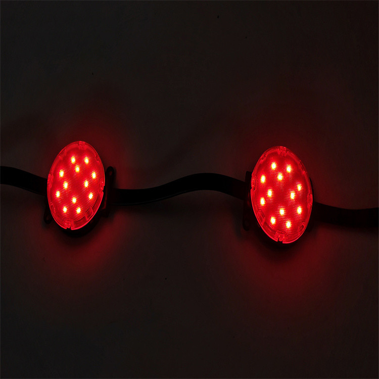 DC24V IP67 Waterproof RGB LED Pixel Lights For House Permanent Christmas Holiday Lighting