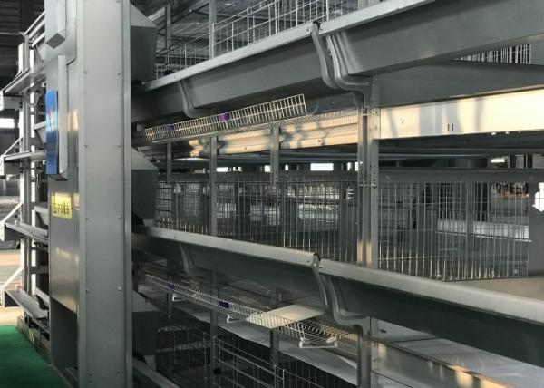 Buy cheap Energy Saving Chicken Farm Poultry Equipment Safety For Manure Removal from wholesalers